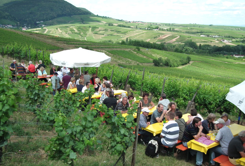 Birkweiler Weinfest 800x600