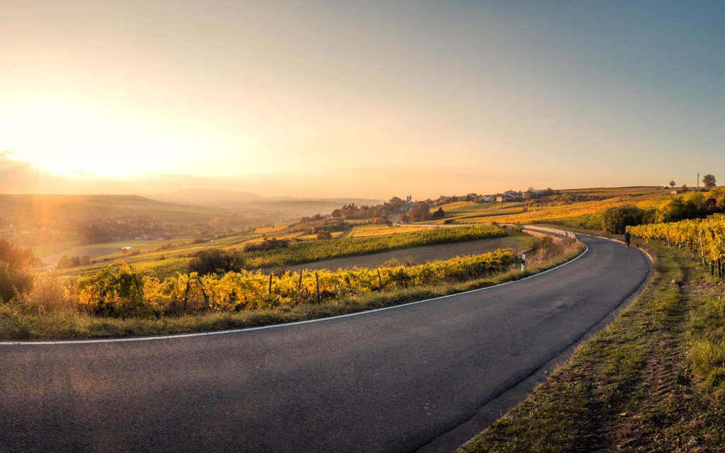 Sonnenuntergang in der Pfalz von Karsten Würth