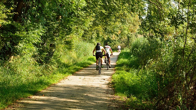cycling 1696184 640