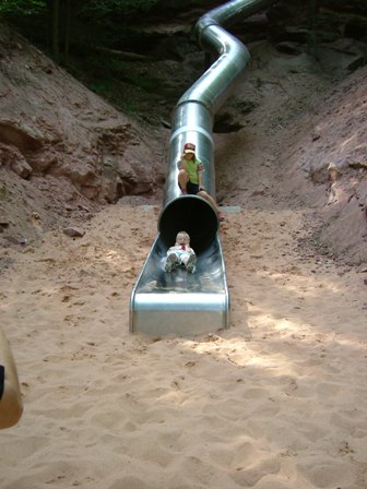 baumwipfel 2