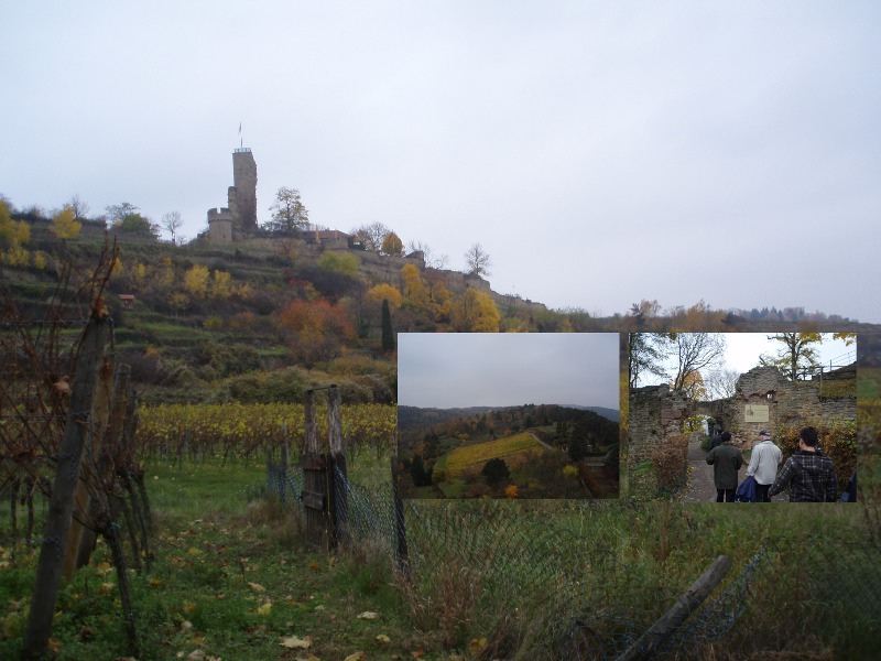 wandern wachtenburg b